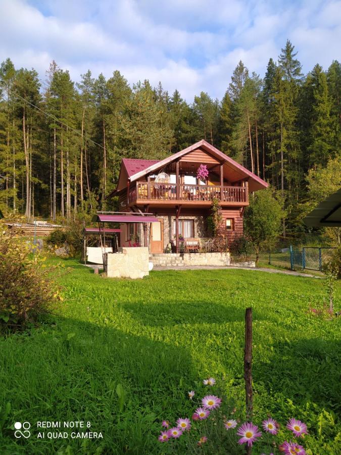 Villa Лісова Казка Jaremče Esterno foto