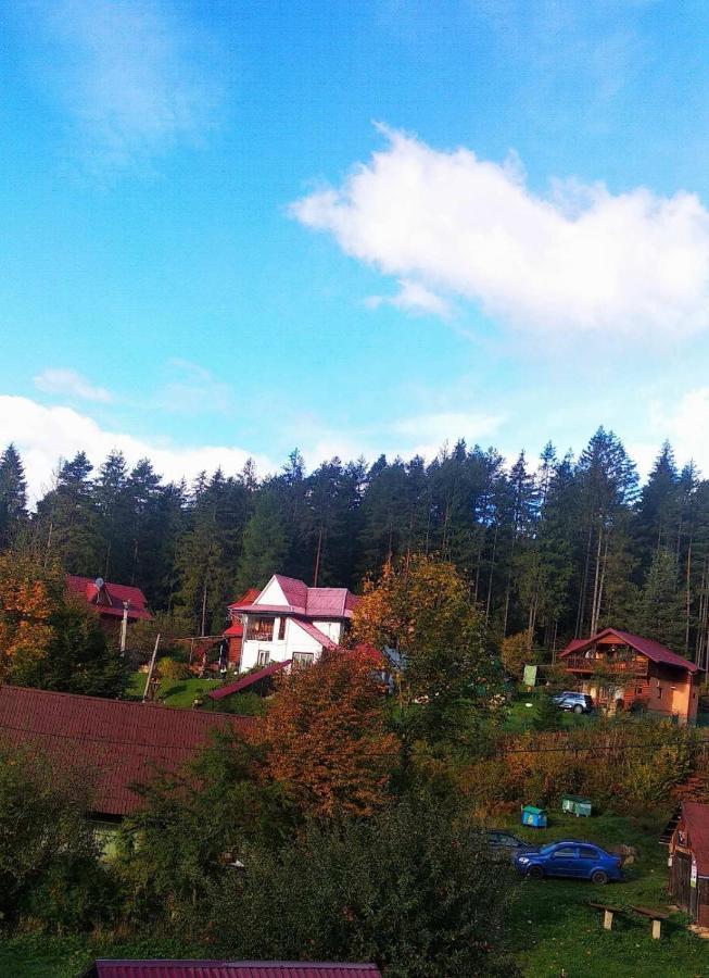 Villa Лісова Казка Jaremče Esterno foto