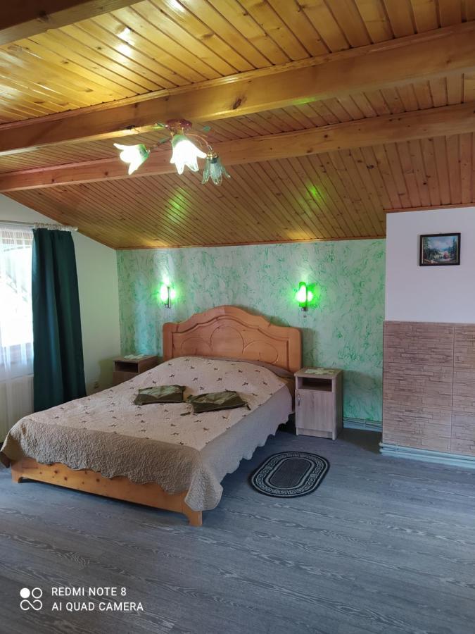 Villa Лісова Казка Jaremče Esterno foto