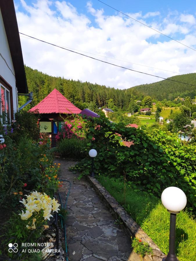 Villa Лісова Казка Jaremče Esterno foto
