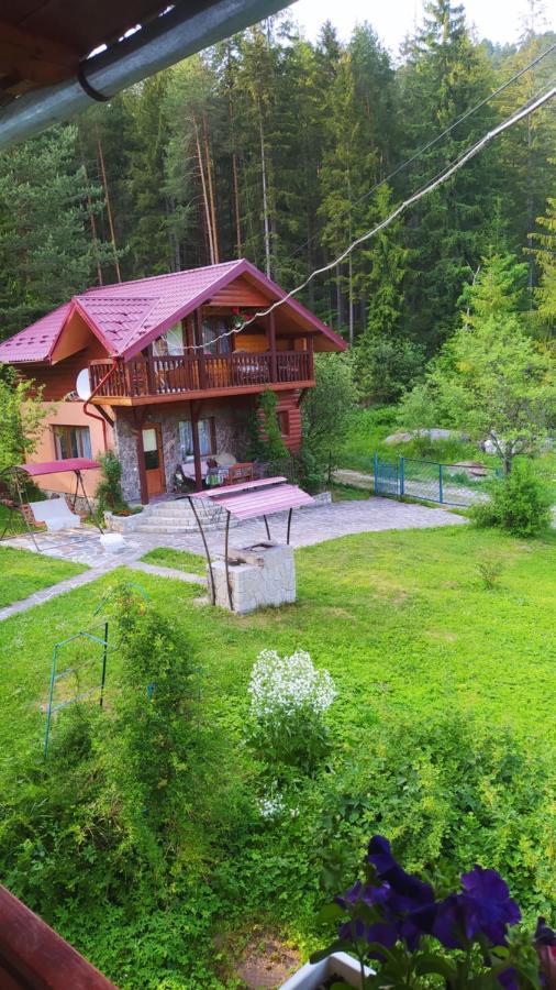 Villa Лісова Казка Jaremče Esterno foto